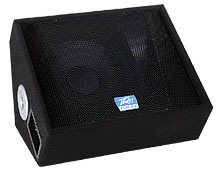 Peavey():TLM 2X Floor Monitor