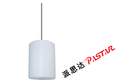 PASTAR 컨 PS-519,˼_(d) 컨 PS-519 PS-519,PASTAR(˼_(d))-----cŴ