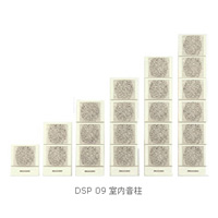 DSPPA(ʿ)V:DSP09ϵ